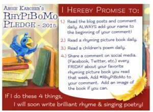RhyPiBoMo 2015 Pledge
