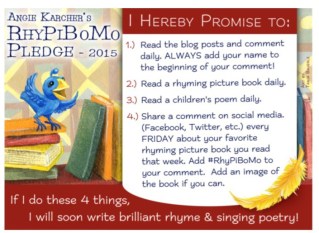 RhyPiBoMo 2015 Pledge